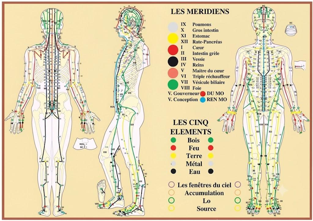 Comprenez enfin l'effet du cuivre sur vos points Marma et méridiens. Un guide simple et clair pour équilibrer votre énergie au quotidien.