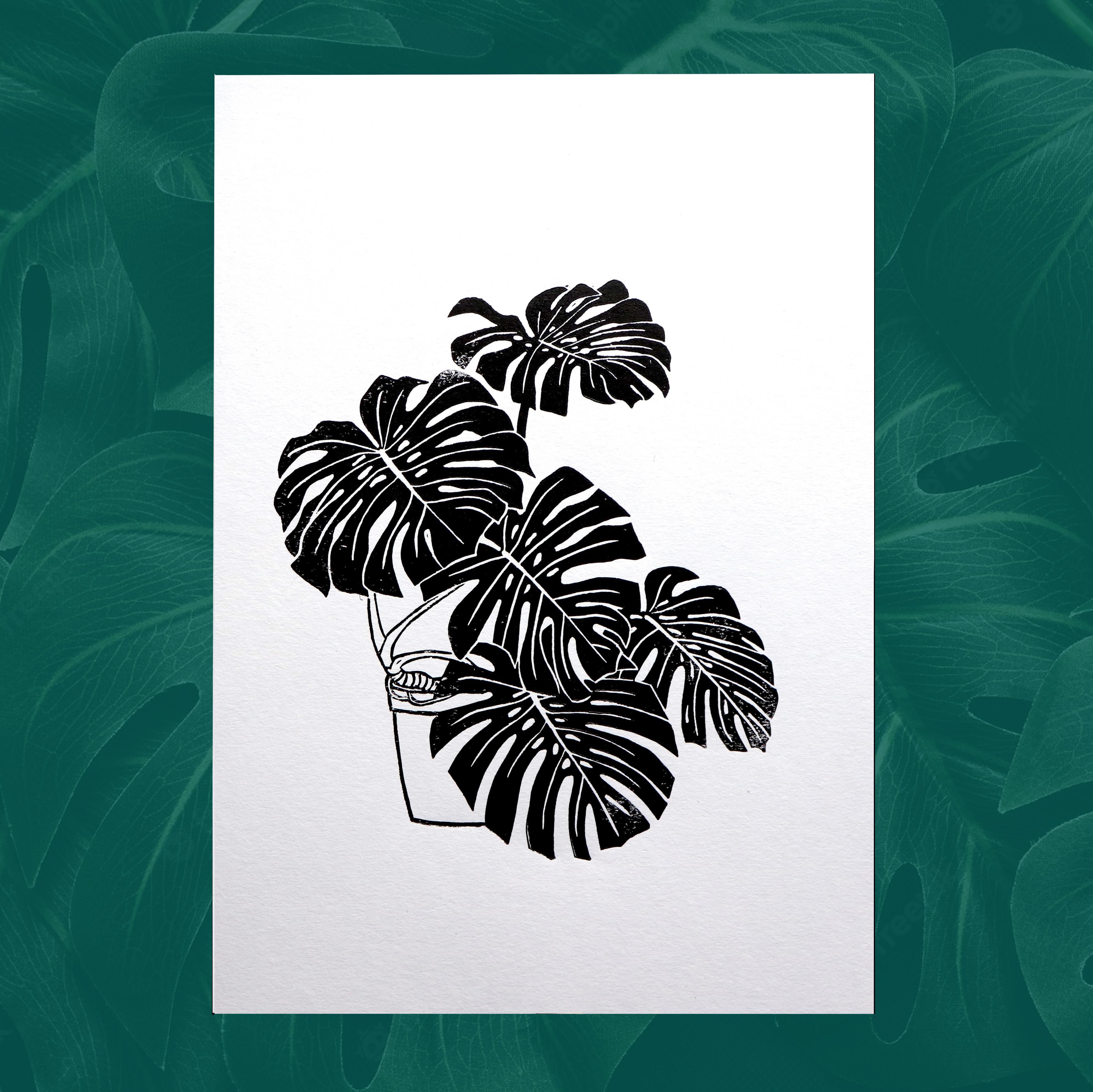 Plantes