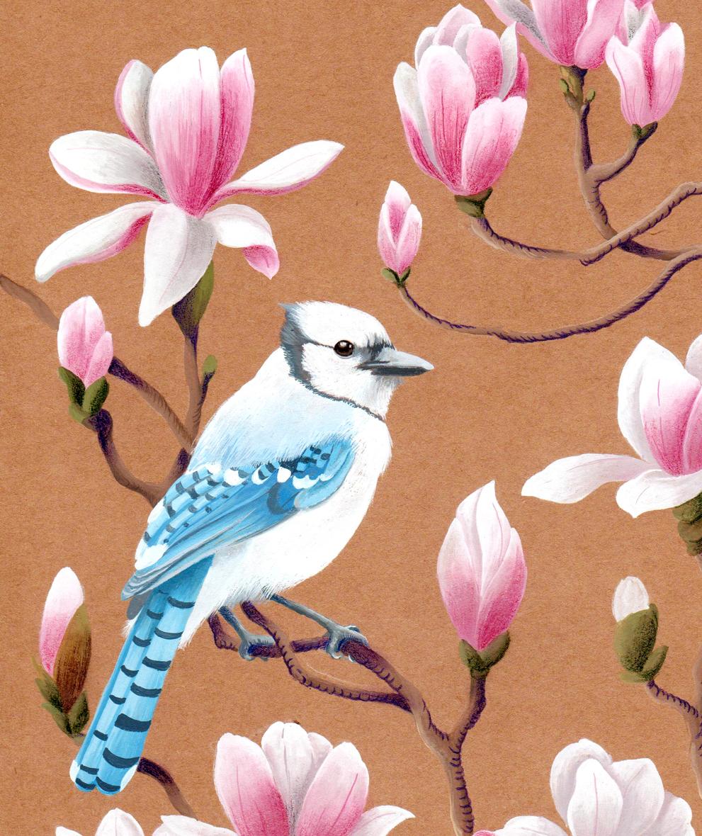 product_list_image_cover