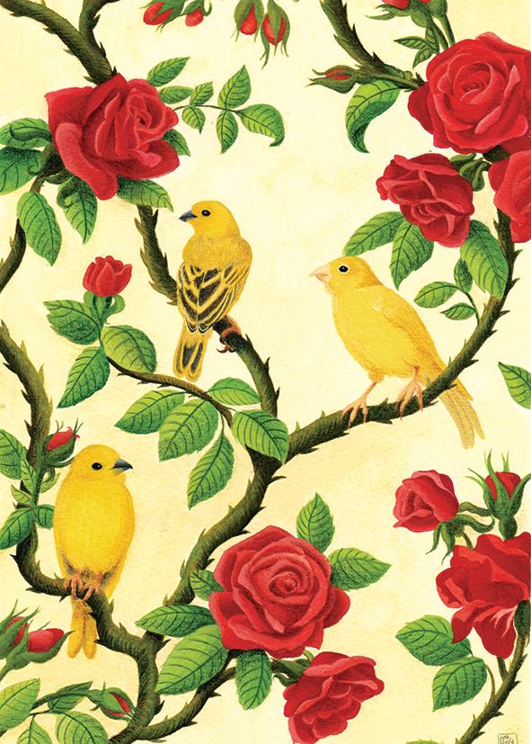 product_list_image_cover