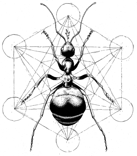 . La Valise à 6 Pattes . 