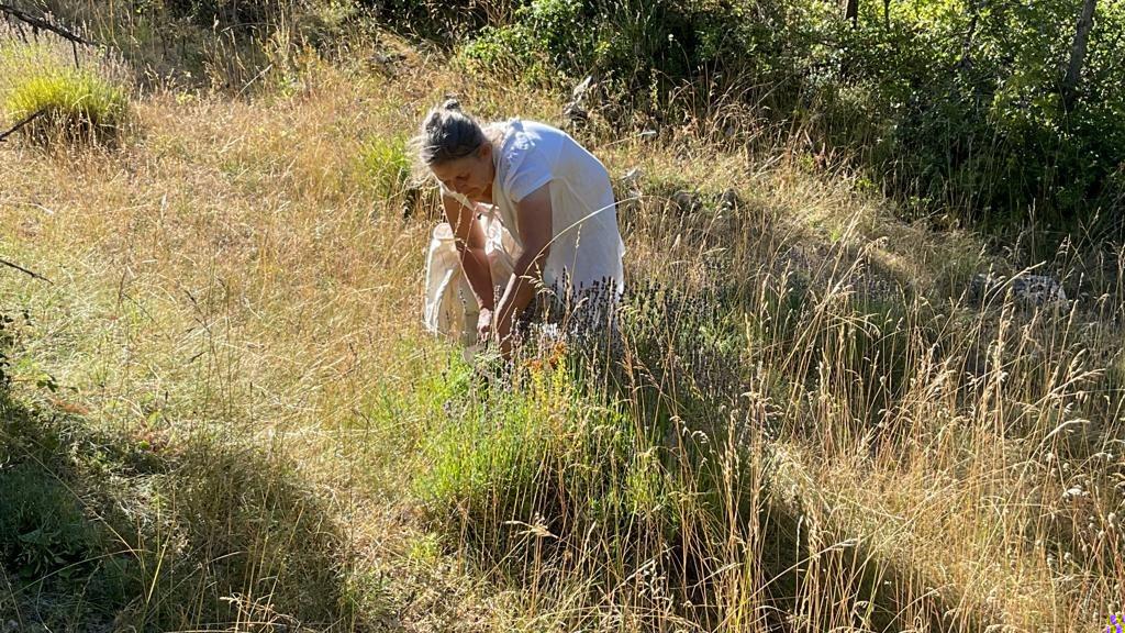 Cueillir, transformer, transmettre