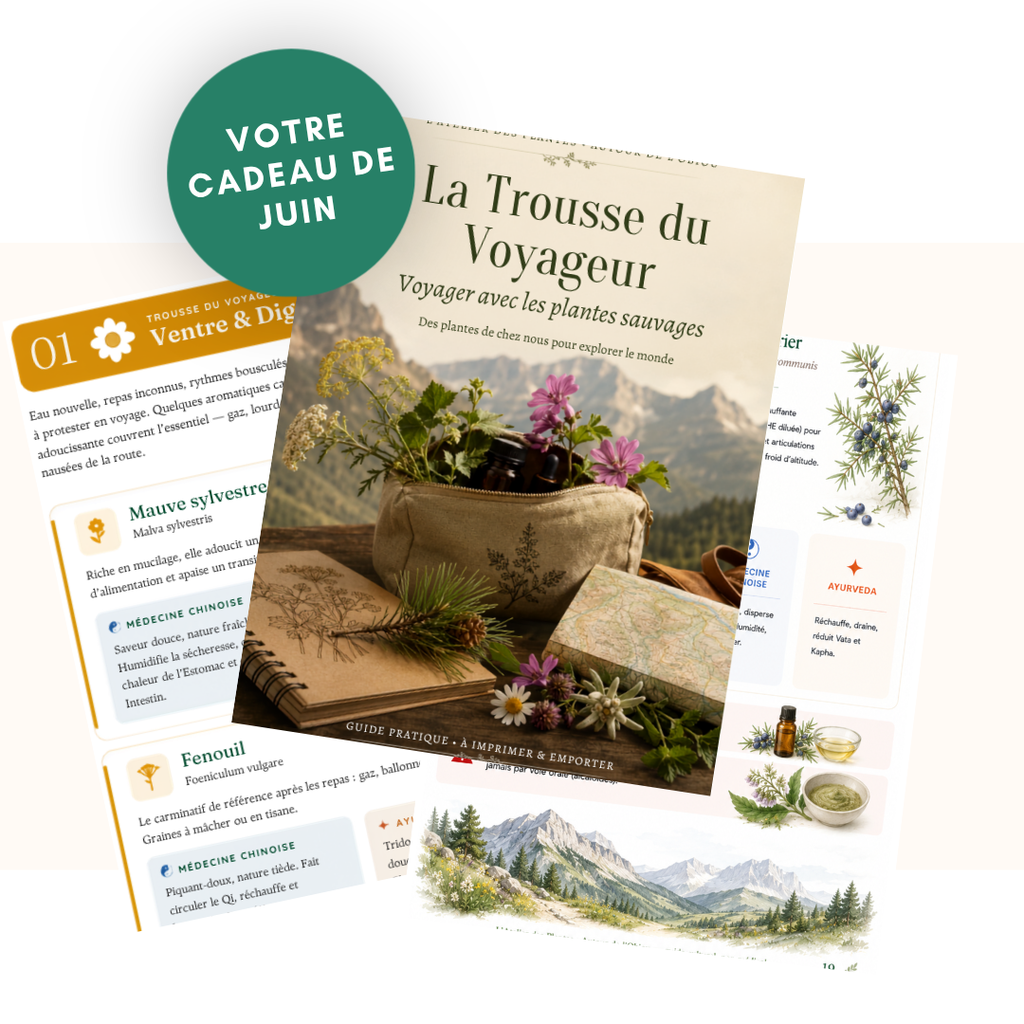 La trousse du voyageur : tout le nécessaire à base de plantes sauvage pour un été serein 