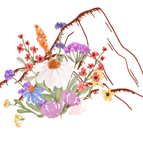 La boutique de l'Atelier des plantes