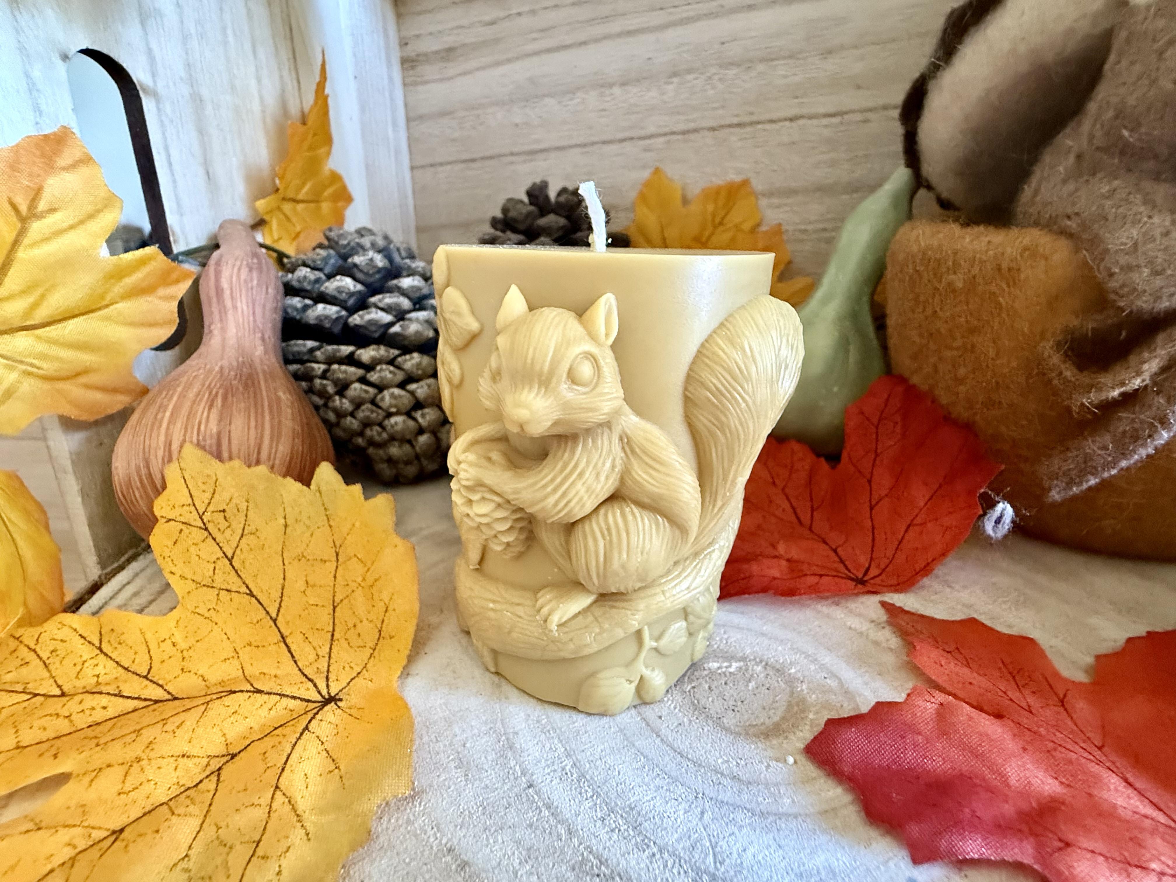 Bougies Décoratives