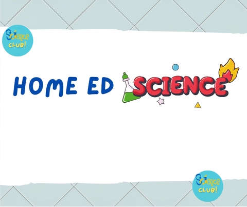 store_logo