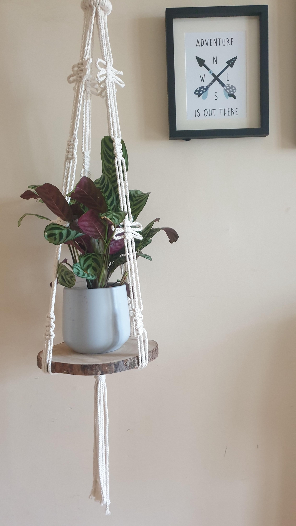 Plant hangers