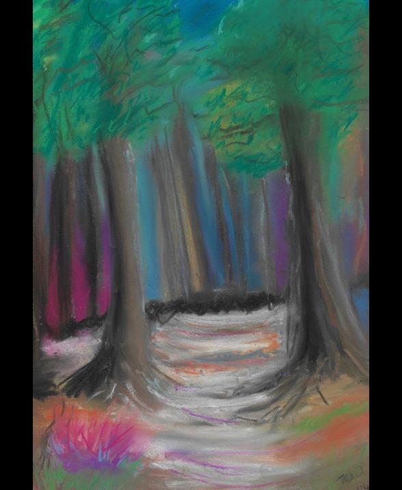 Celebrating the wild beauty of the natural world and it's unseen guardians. Trees, animals, landscapes, and seasonal cycles come alive with spirit.