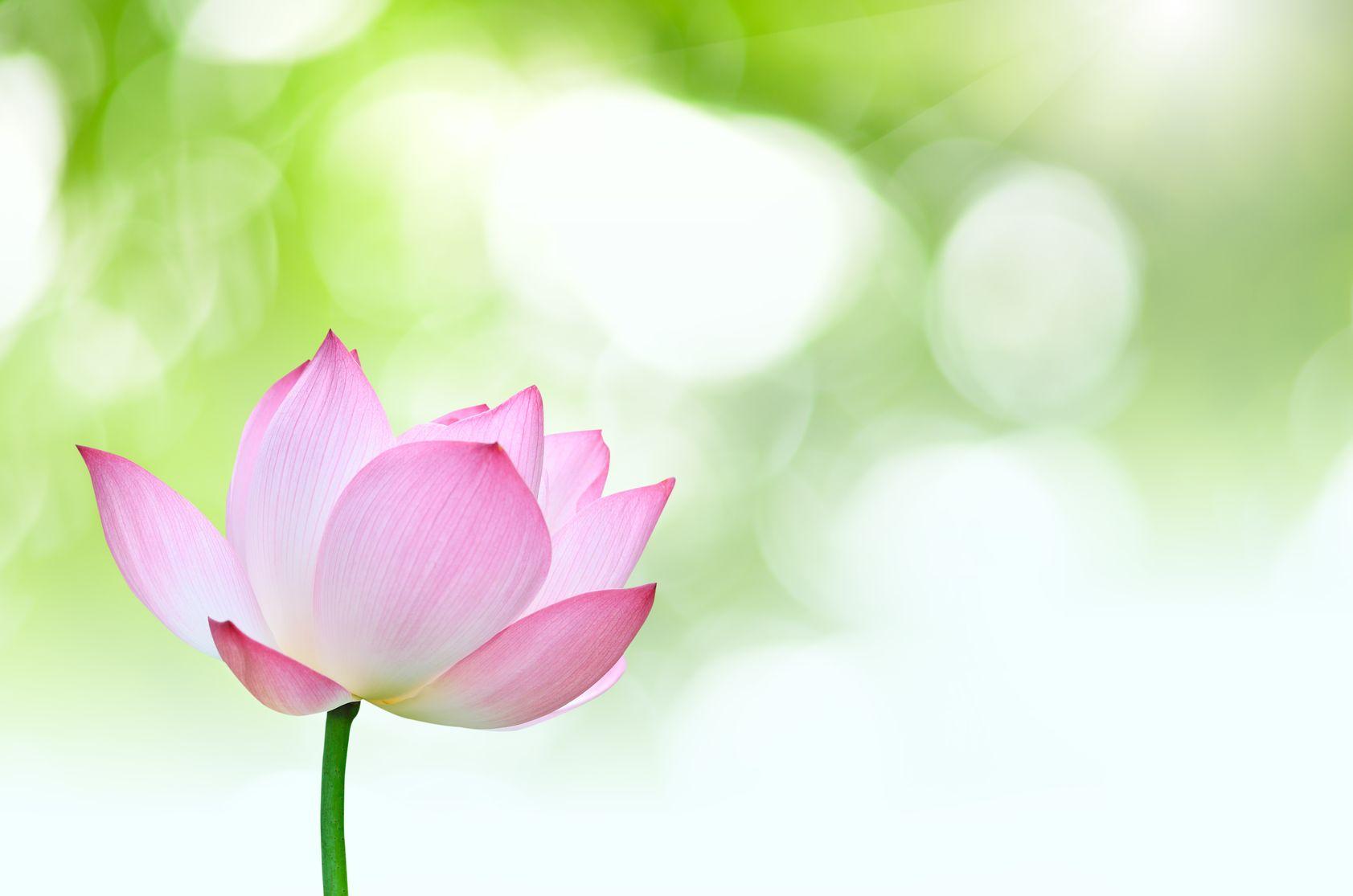 book upcoming classes and events with Debbie Wingell Yoga & Wellbeing
