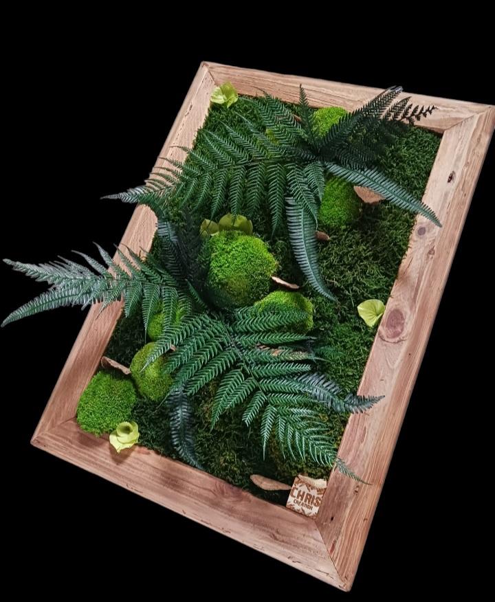 Le procédé de la stabilisation permet aux plantes de préserver leur texture, leur couleur et leur forme originale. Les plantes stabilisées ne nécessitent alors ni eau, ni lumière, ni coupe pour vivre, ce qui en fait des éléments décoratifs durables pour divers espaces intérieurs