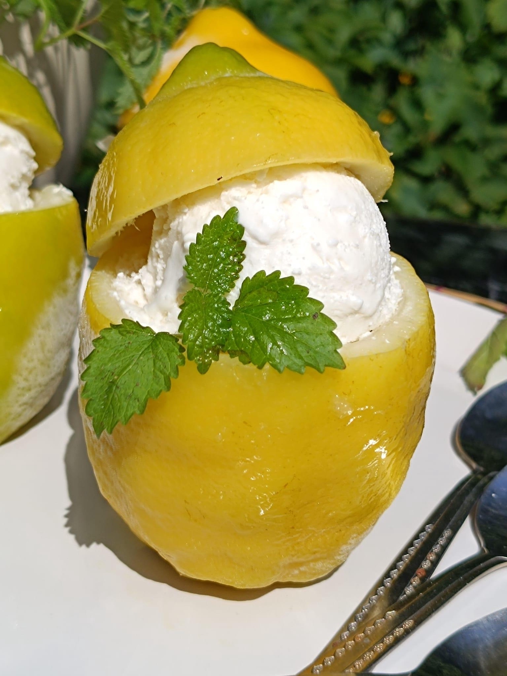 banner_image