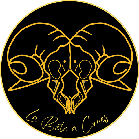 Costumière, créatrice d'éléments de costume en tout genre 