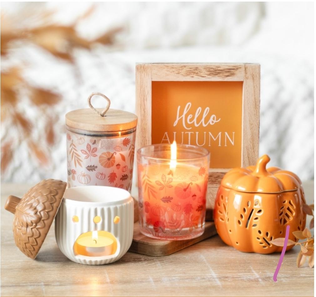 Cosy Up: Our Autumn Collection Has Arrived