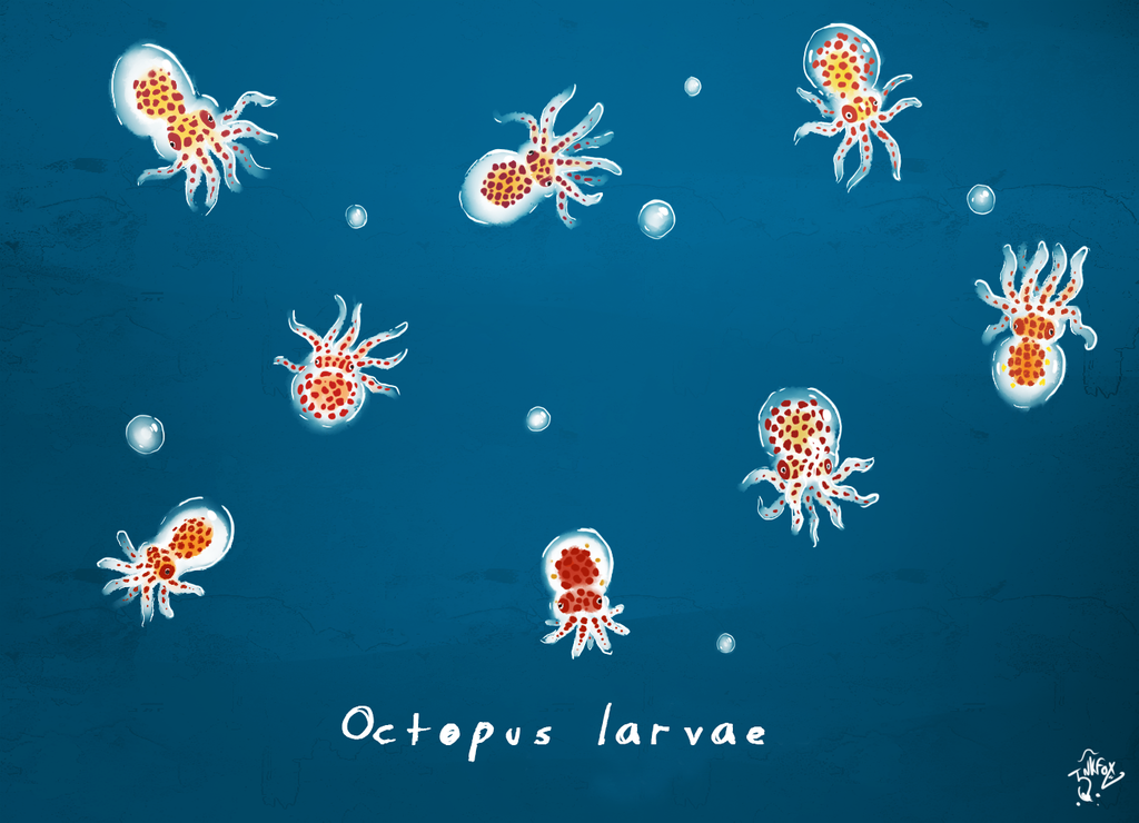 product_list_image_cover