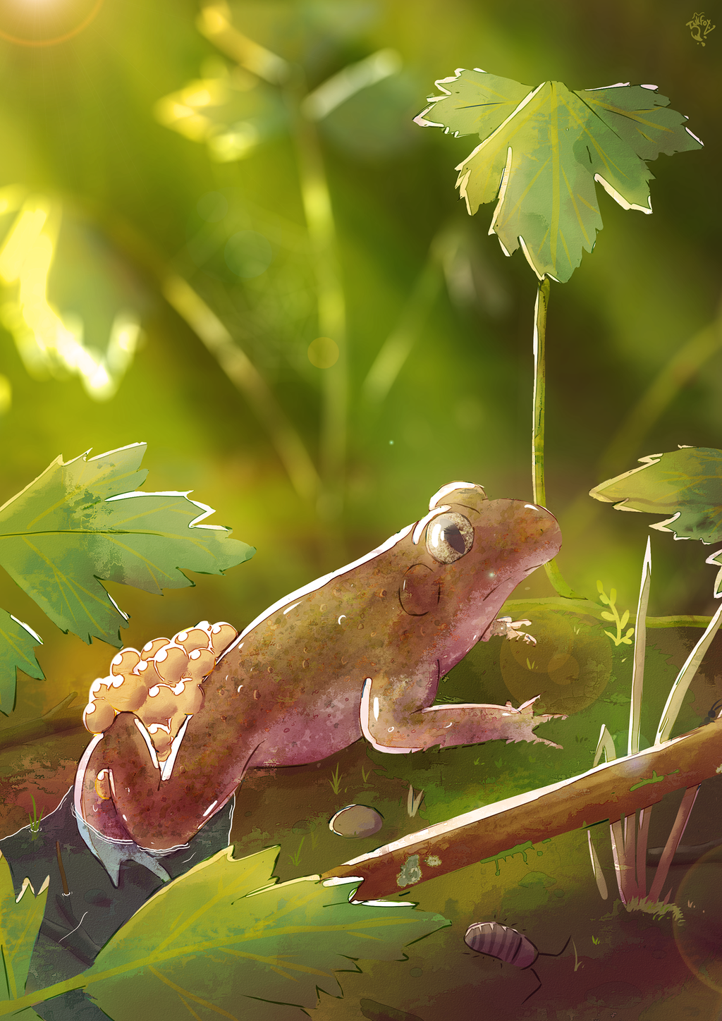 product_list_image_cover