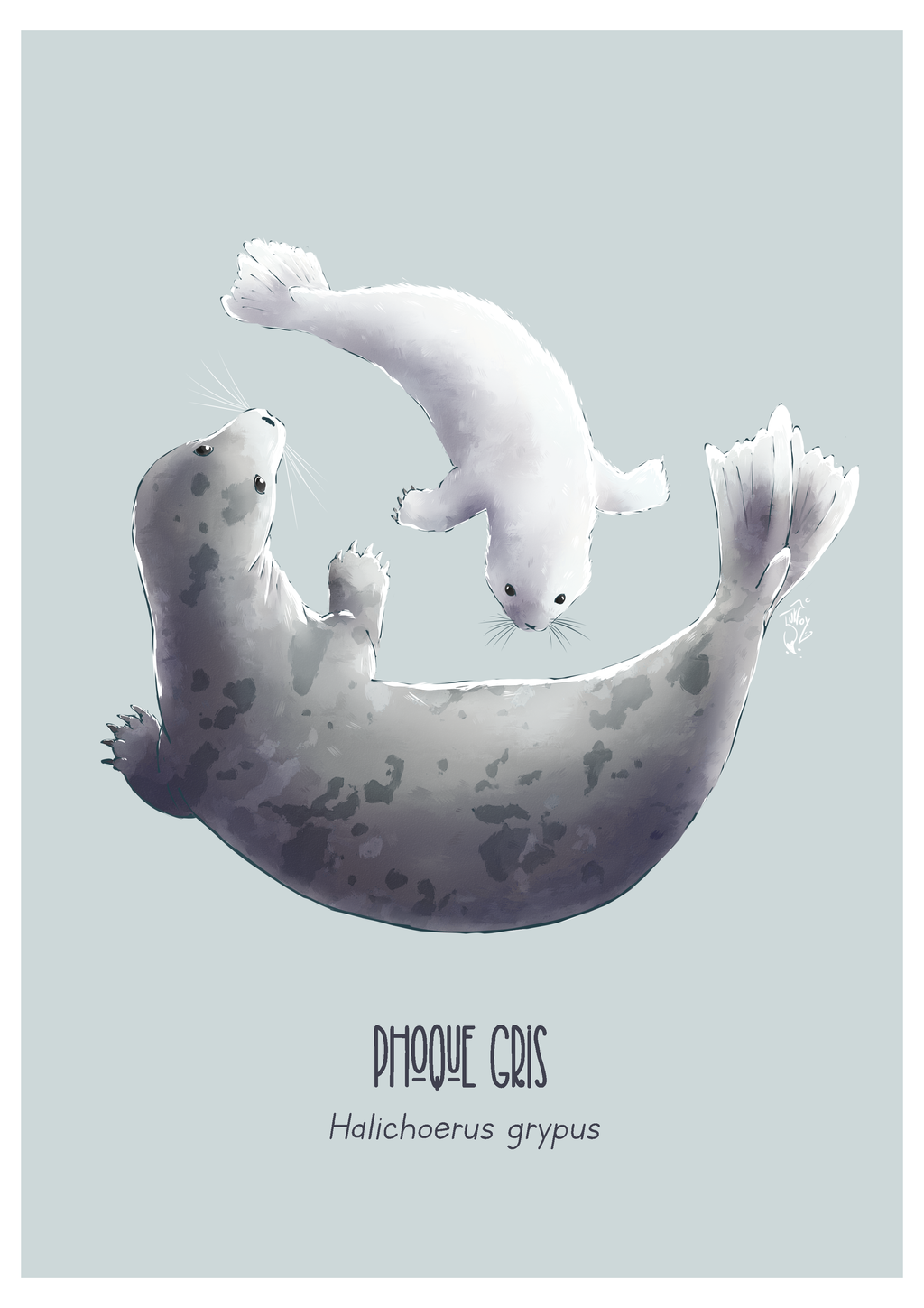 product_list_image_cover