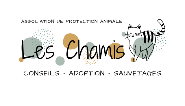 store_logo