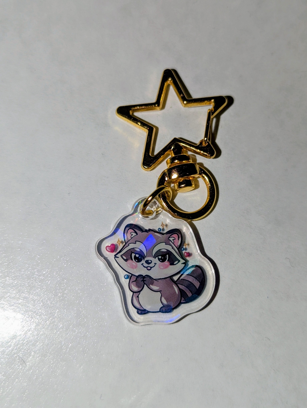 charm de sac raton-laveur