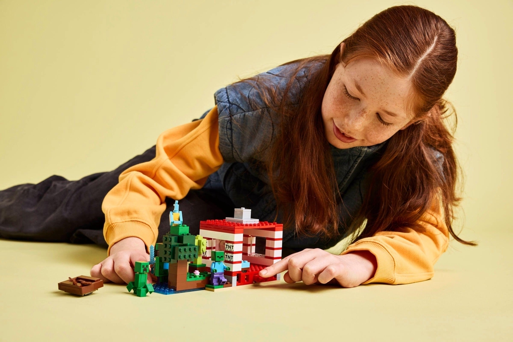 LEGO® Minecraft® – Baue deine eigene Welt