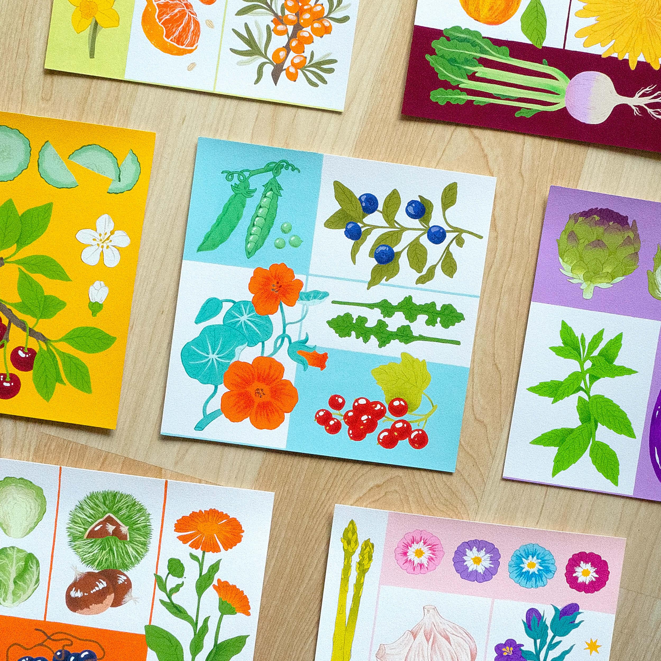 Illustrations