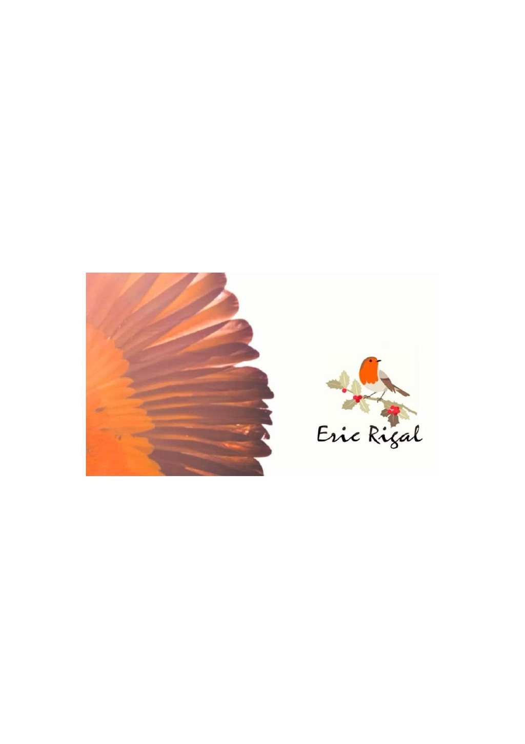 banner_image