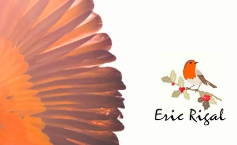 store_logo