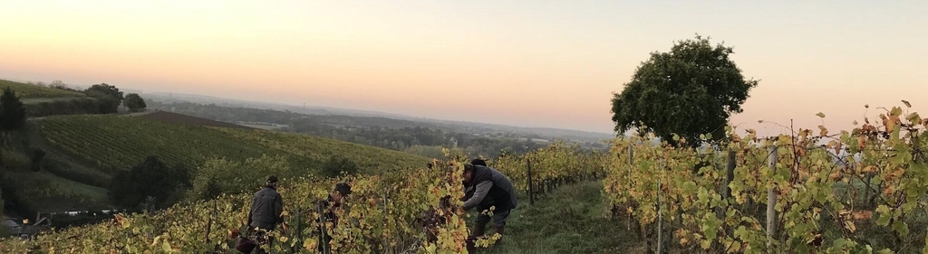 banner_image