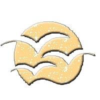 www.paolomonzo.com