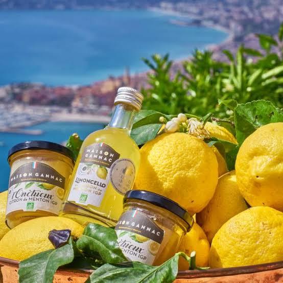 La Maison Gannac est spécialisée dans la production d'agrumes biologiques, notamment le Citron de Menton IGP.