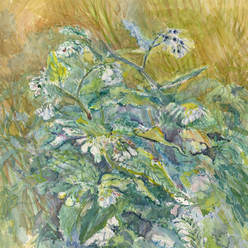 Section image