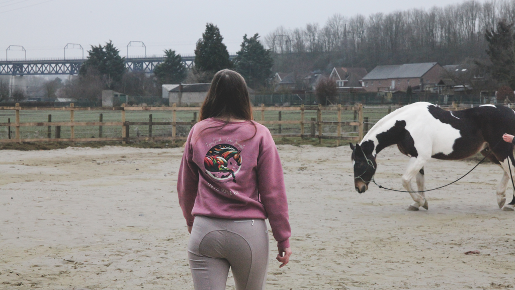 EquiGuide - Coach performance & bien-être équin sur Liège