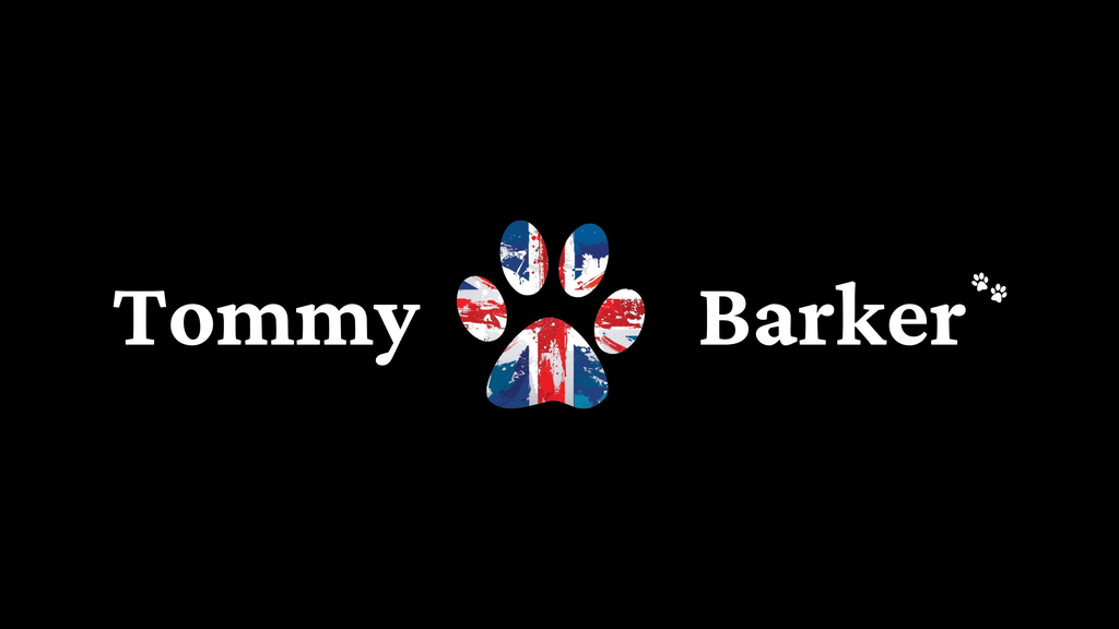 Banner image