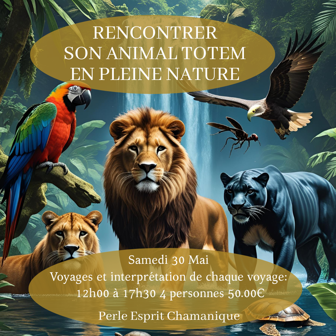 Rencontre ton animal totem en forêt près de Toulouse
Tu ressens le besoin de te reconnecter à toi-même,
mais tu te sens parfois coupée de ton instinct ?
La rencontre avec ton animal totem est une expérience profonde de reconnexion à ton essence.
Lors de ce voyage chamanique en pleine nature dans le 31, tu accèdes à un espace où le mental s’apaise pour laisser place au ressenti, à l’intuition et aux messages de ton inconscient. Perle Esprit Chamanique. Chamane depuis 10 ans en Occitanie Toulouse