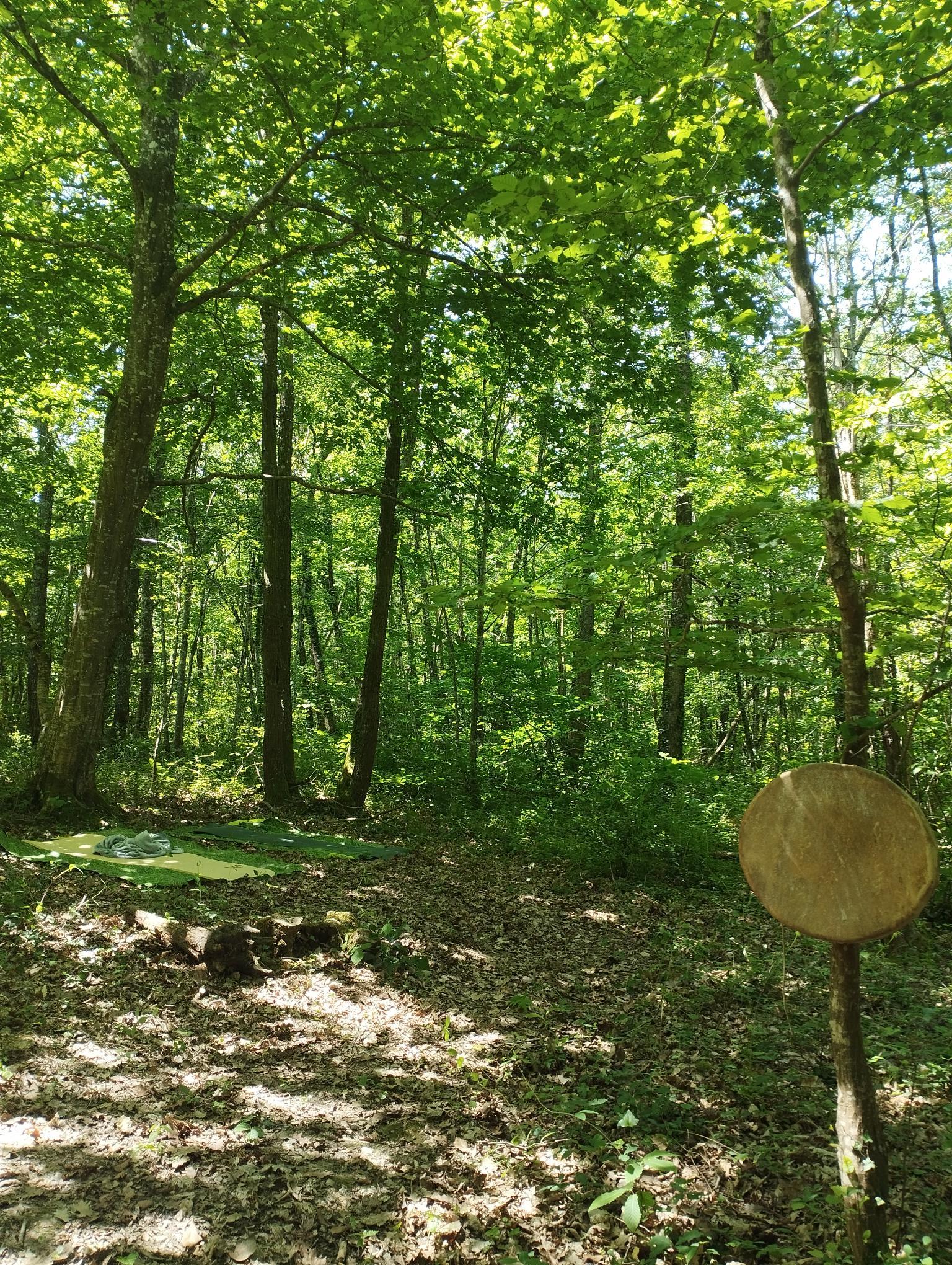 Section image