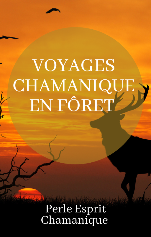 Retraite chamanique Occitanie Toulouse Gers chaman