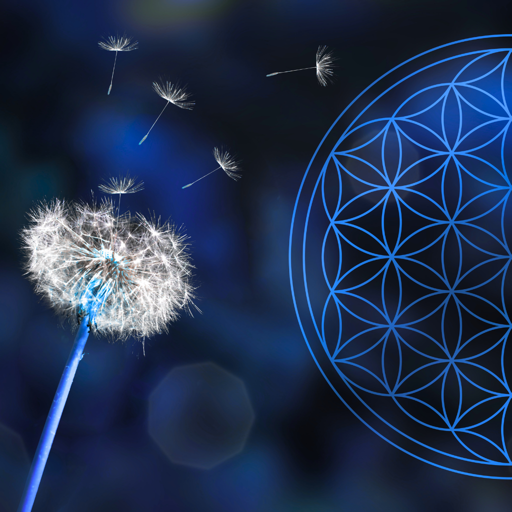 accompagnement spirituel en ligne avec Perle esprit Chamanique : blocages énergétiques
énergie du corps
libération émotionnelle
