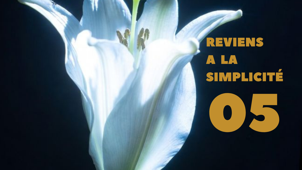 Reviens à la simplicité : pourquoi les plus grandes réponses se trouvent déjà dans ton quotidien
Et si ce que tu cherches depuis si longtemps était déjà présent dans les instants les plus simples de ton quotidien ?
Dans cet e-book, découvre pourquoi la spiritualité ne se vit pas uniquement dans les expériences extraordinaires, mais aussi dans un silence, une promenade, un échange sincère ou un moment de présence. Tu apprendras à ralentir, à écouter les messages que la vie t'envoie chaque jour et à retrouver une paix intérieure qui ne dépend pas de l'extérieur. Un exercice concret t'accompagnera pour réapprendre à reconnaître la magie déjà présente autour de toi.

