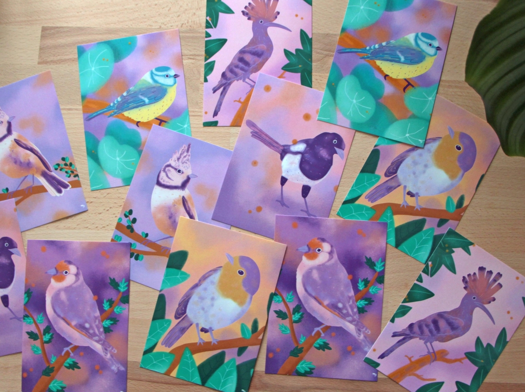 Visuels de différentes illustrations d'oiseaux imprimées.