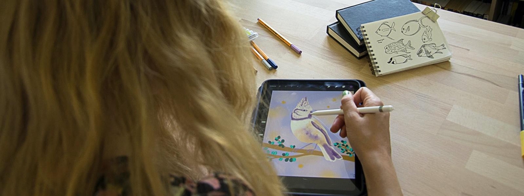 Illustration d'un oiseau