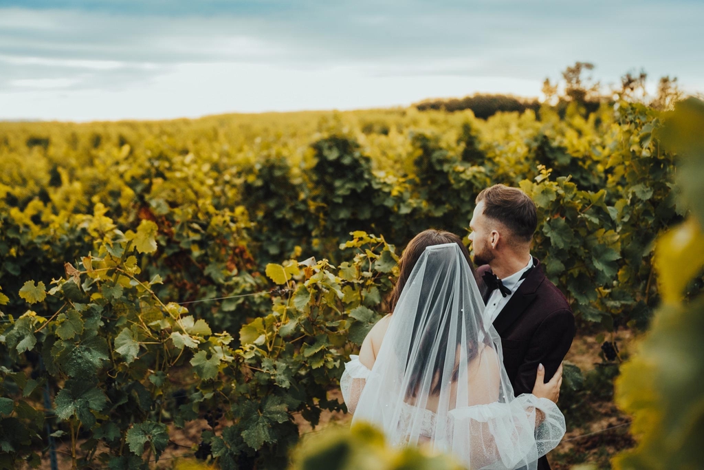 Sesje Zdjęciowe w Winnicy

Romantyczne kadry wśród winorośli