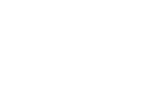 store_logo