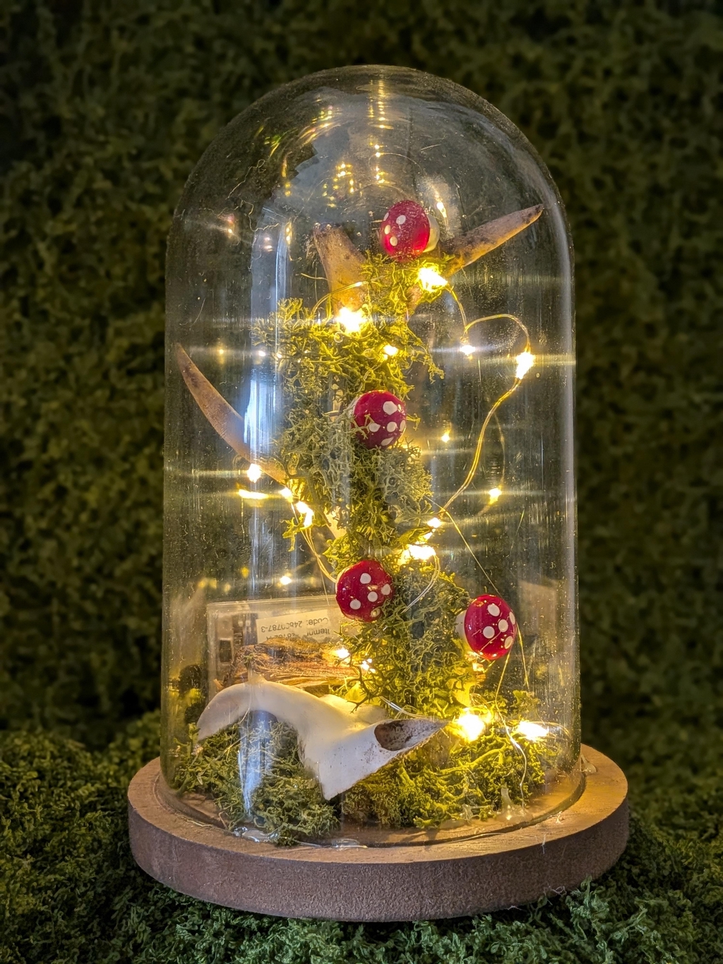 product_list_image_cover