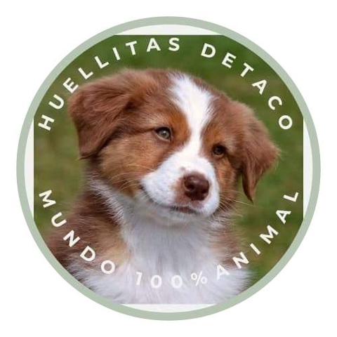 Mundo 100 % animal