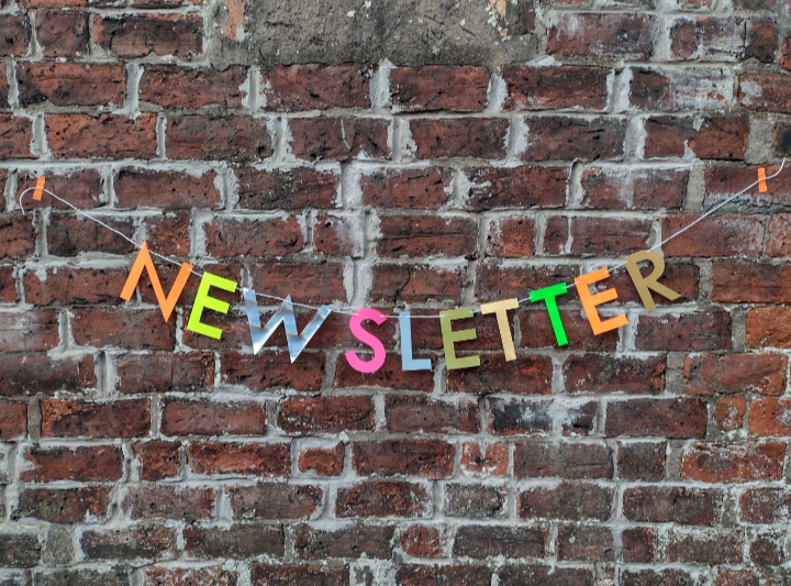 Image of a colourful letter banner on a brick wall saying "newsletter" to indicate the link to the Paper Street Dolls newsletter