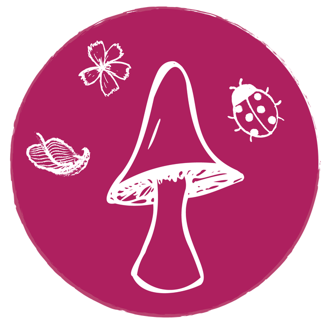 Darlène Design : concept store artisanal sur le thème des champignons et de la forêt. Objets de décoration et accessoires éco-responsables.