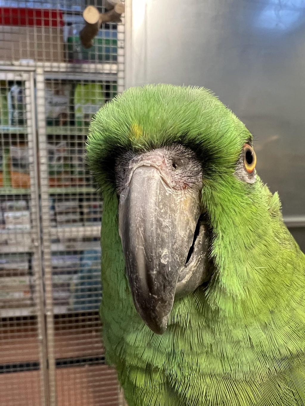banner_image