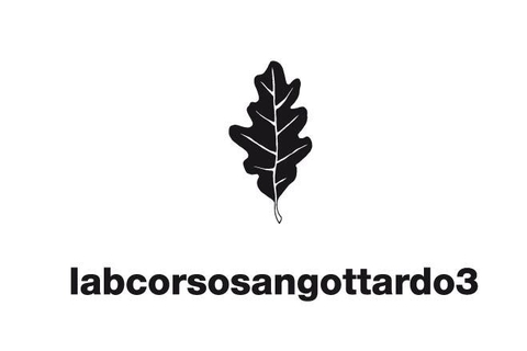 store_logo