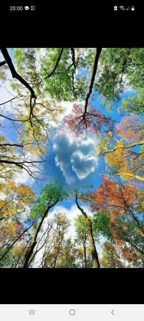 La lithothérapie !
Le mieux être par les pierres....