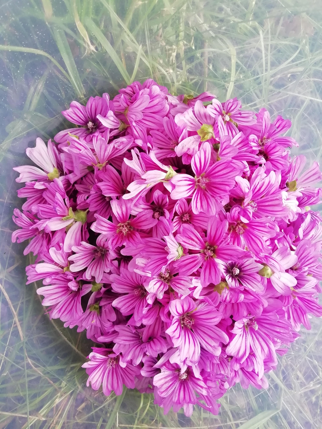 banner_image