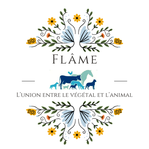 store_logo
